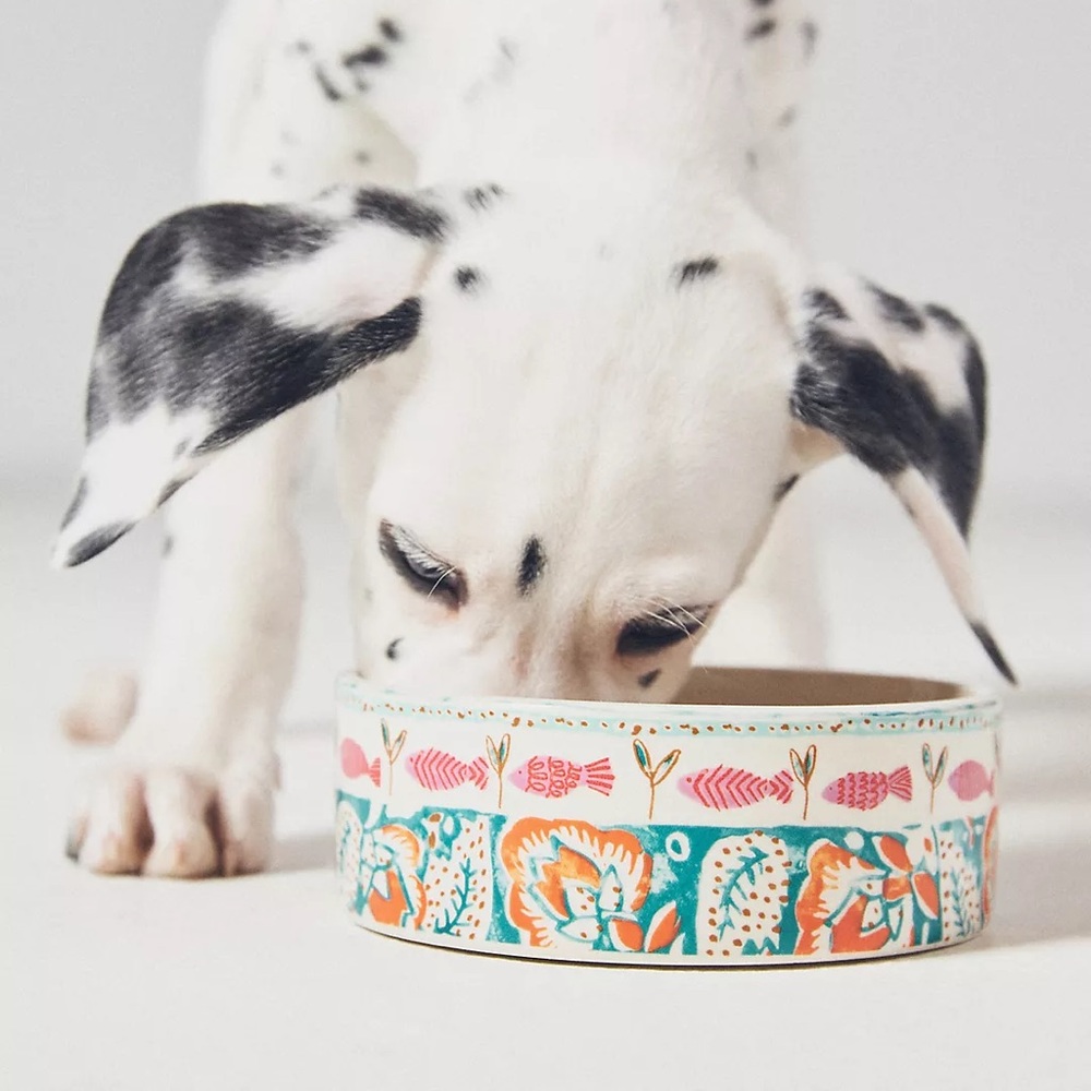 Anthropologie Marina Pet Bowl